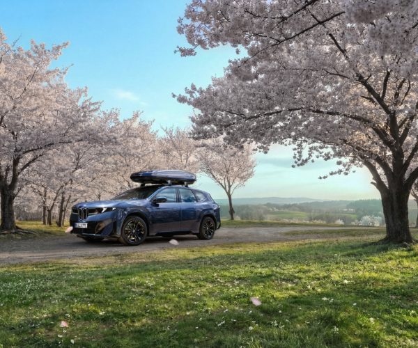 DI26 000347382 Ver 1 Customized Web Quality SRGB BMW IX3 (NA5 BEV)